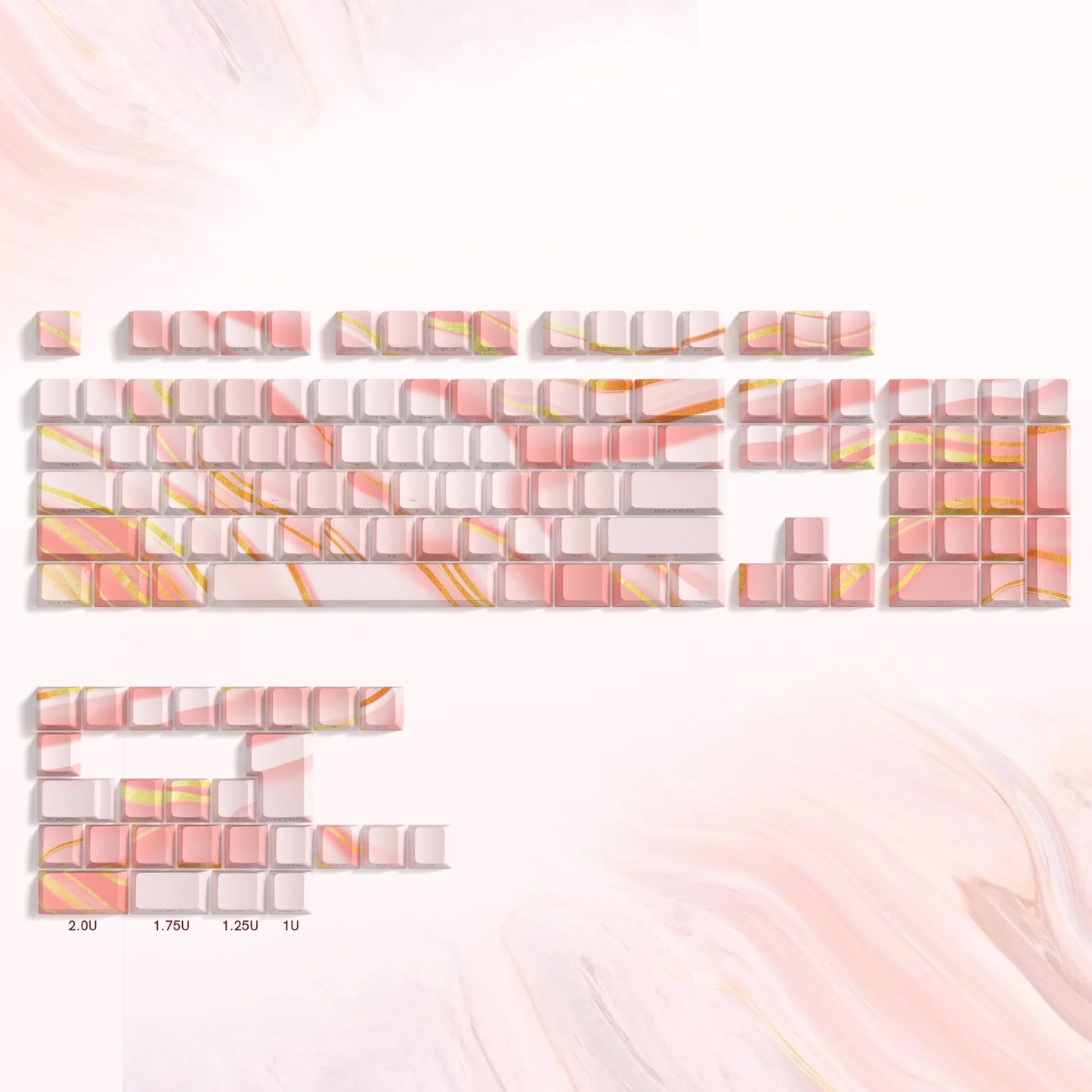 41680549249091